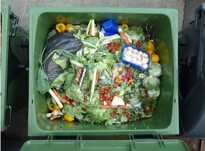 Commercial Food Waste Guide 2025