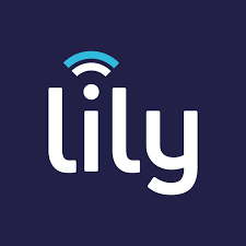 lily